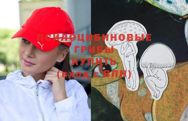 амф Аркадак