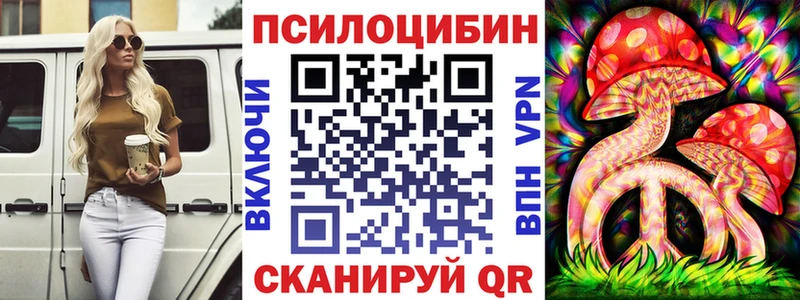 Псилоцибиновые грибы Psilocybe где найти наркотики Глазов